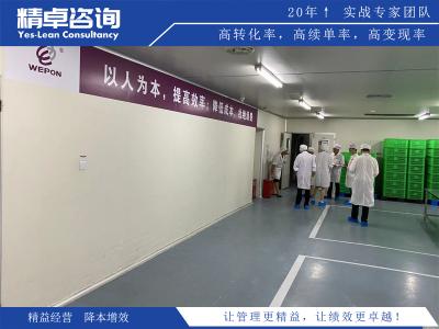 5S标准是哪五项内容及其在提高生产效率中的作用