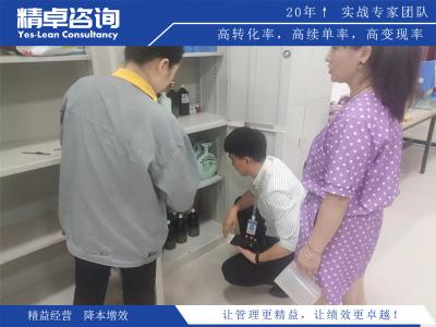 提升效率的精益管理咨询服务及实施方案